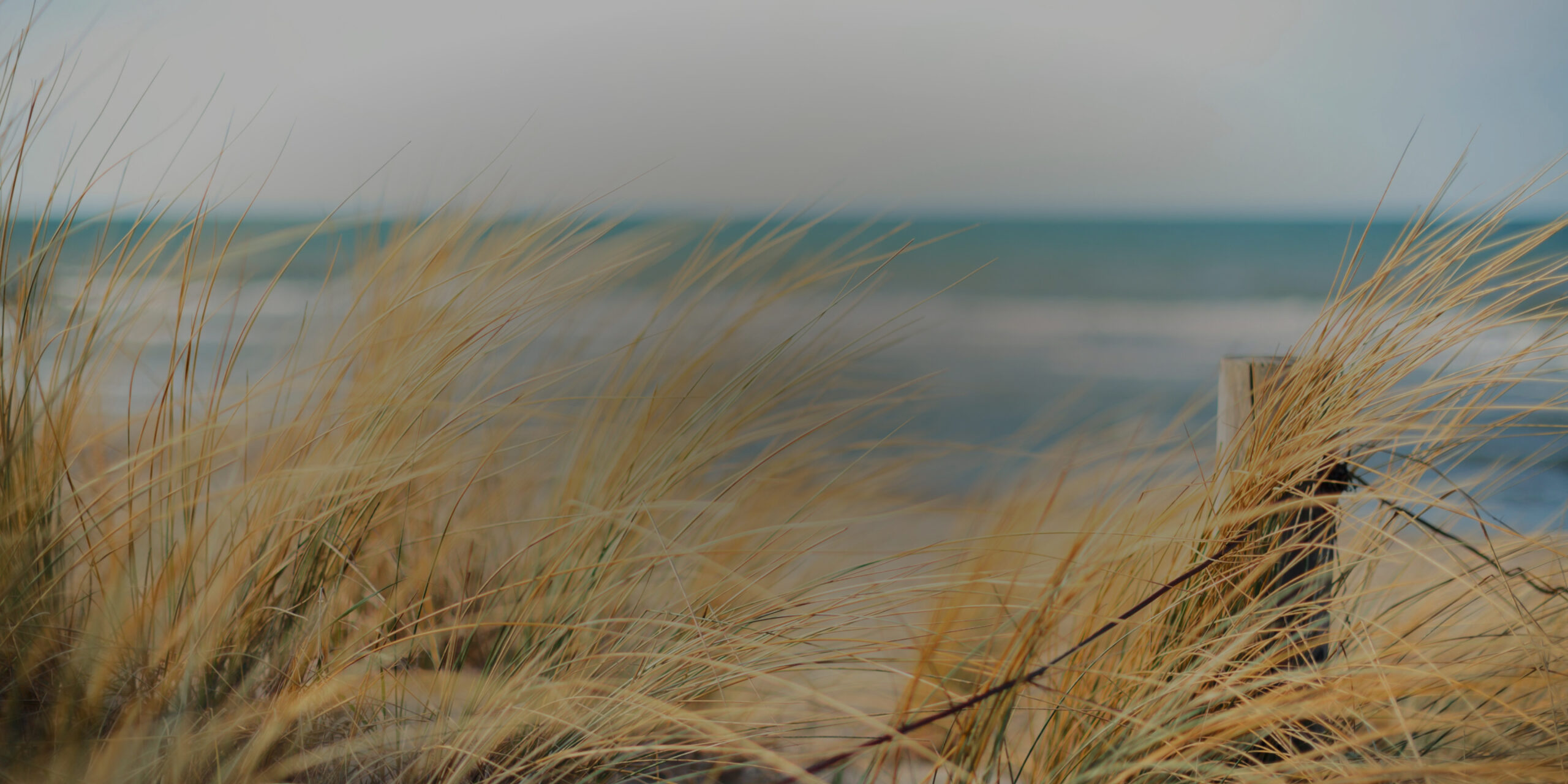 Holistic Therapy | Comprehensive Guide to Wellness and Healing